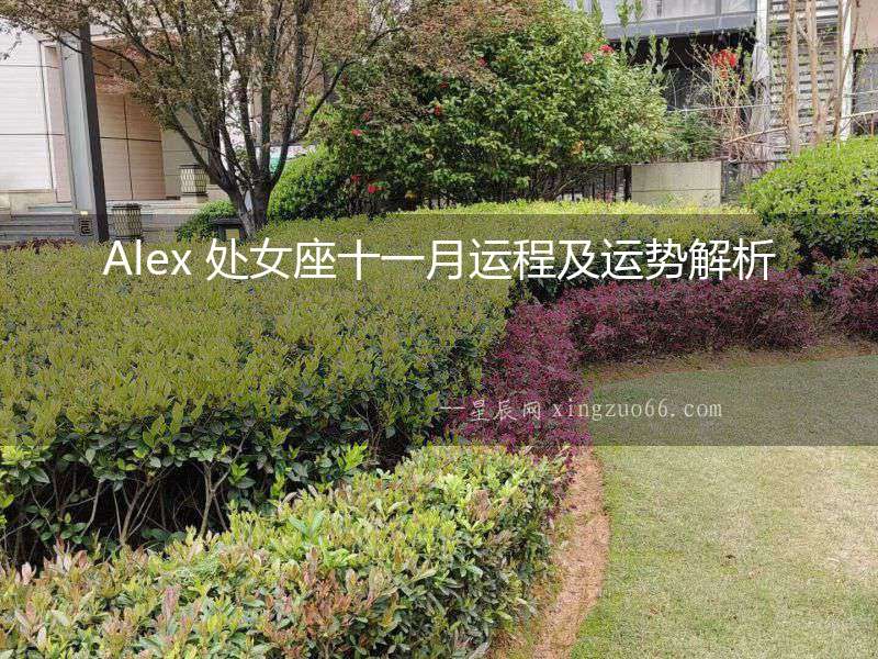 Alex 處女座十一月運(yùn)程及運(yùn)勢解析