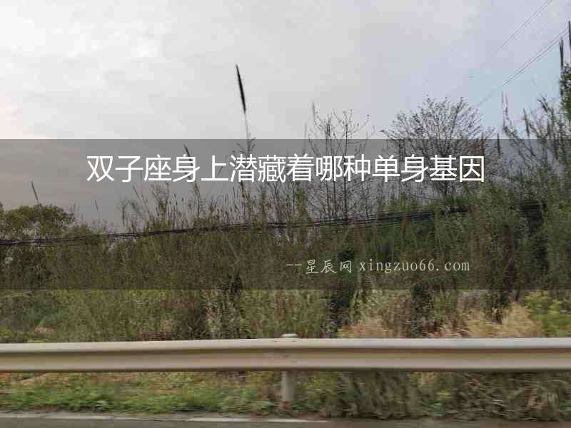 雙子座身上潛藏著哪種單身基因
