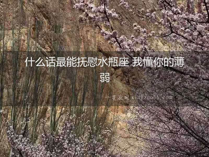 什么話最能撫慰水瓶座 我懂你的薄弱
