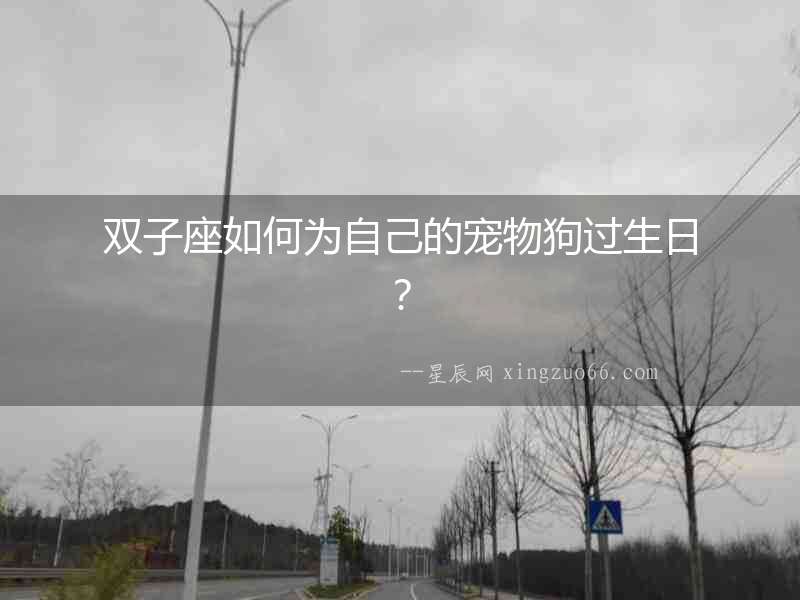 雙子座如何為自己的寵物狗過生日？