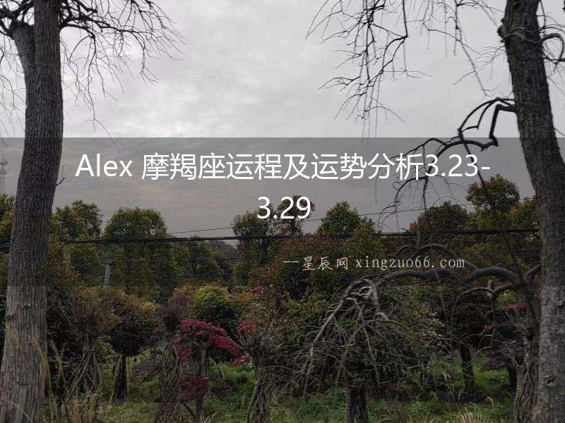 Alex 摩羯座運(yùn)程及運(yùn)勢(shì)分析3.23-3.29