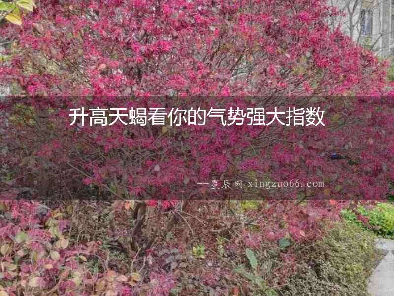 升高天蝎看你的氣勢強大指數