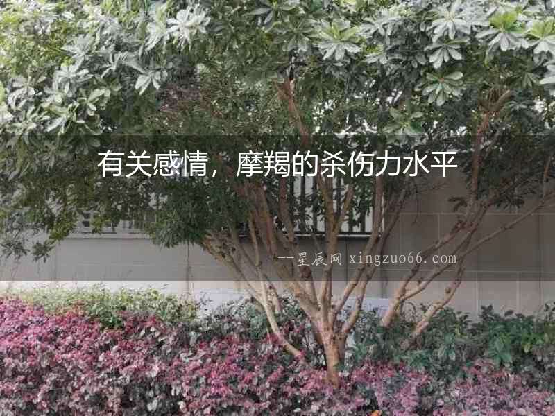 有關感情，摩羯的殺傷力水平