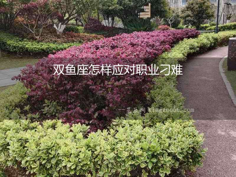 雙魚座怎樣應對職業刁難