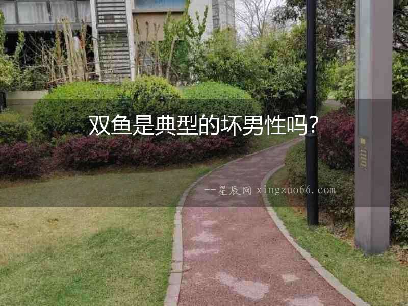 雙魚是典型的壞男性嗎？