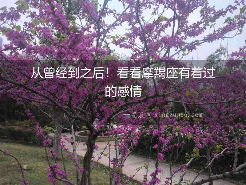 從曾經(jīng)到之后！看看摩羯座有著過的感情
