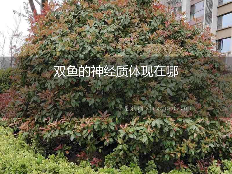 雙魚的神經(jīng)質(zhì)體現(xiàn)在哪