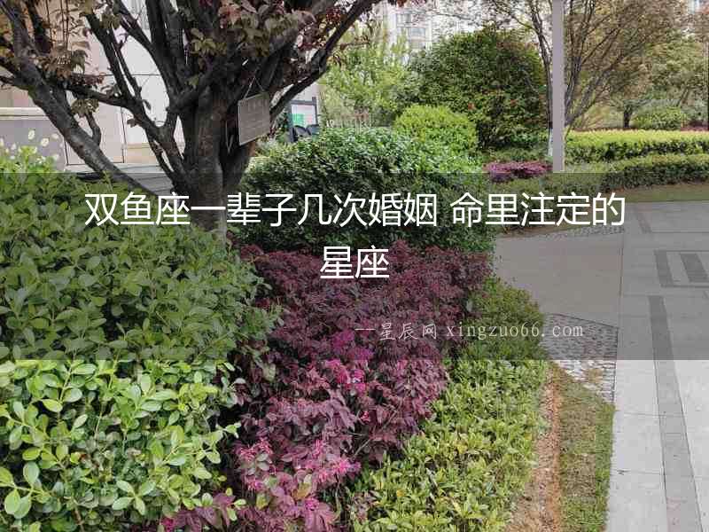 雙魚座一輩子幾次婚姻 命里注定的星座