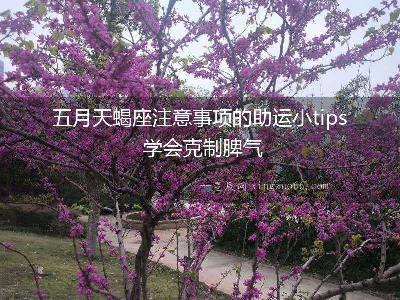 五月天蝎座注意事項的助運小tips 學會克制脾氣