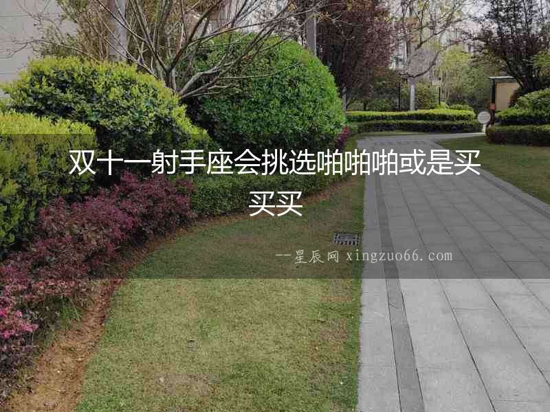 雙十一射手座會(huì)挑選啪啪啪或是買(mǎi)買(mǎi)買(mǎi)