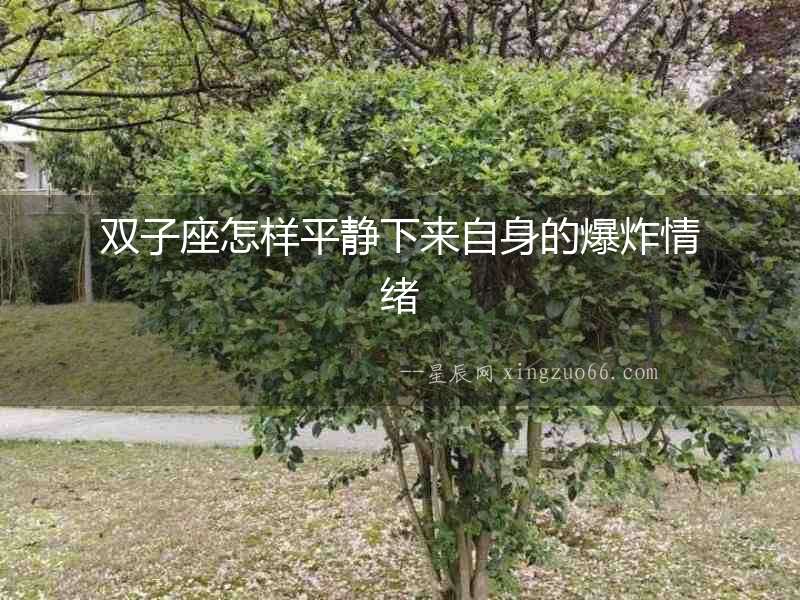 雙子座怎樣平靜下來自身的爆炸情緒