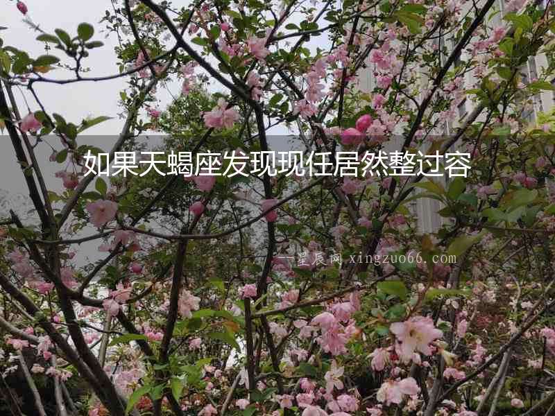 如果天蝎座發(fā)現(xiàn)現(xiàn)任居然整過容