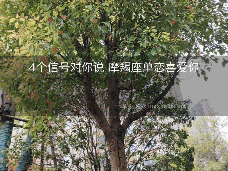 4個信號對你說 摩羯座單戀喜愛你