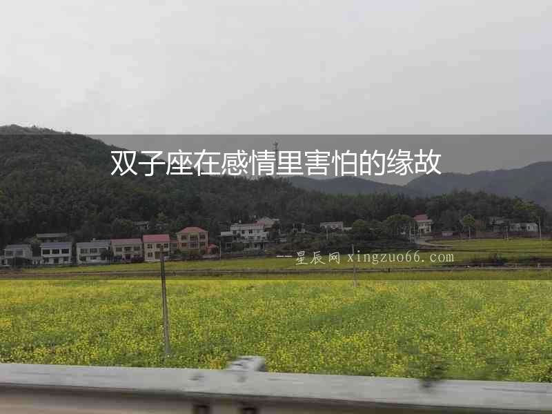 雙子座在感情里害怕的緣故