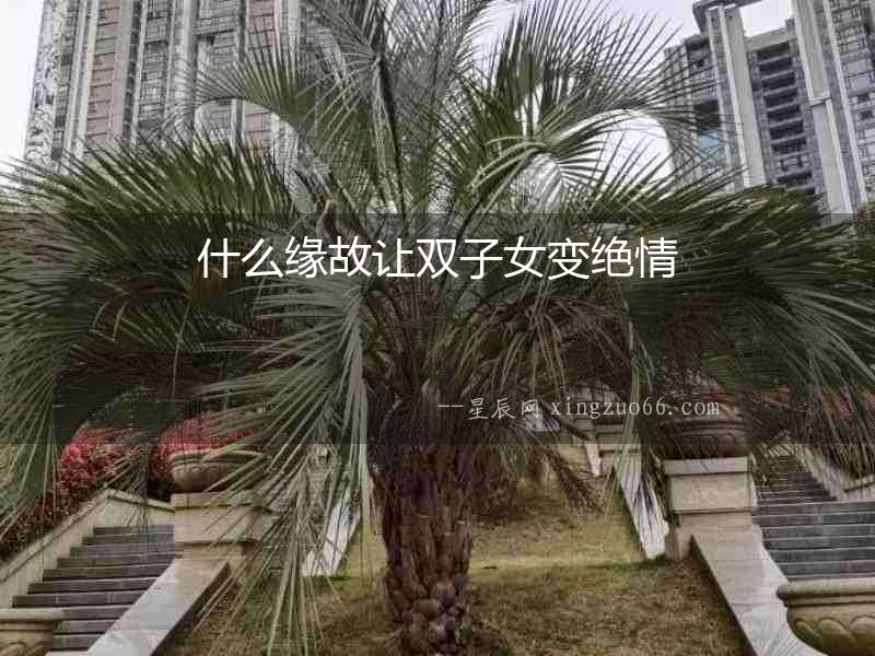 什么緣故讓雙子女變絕情