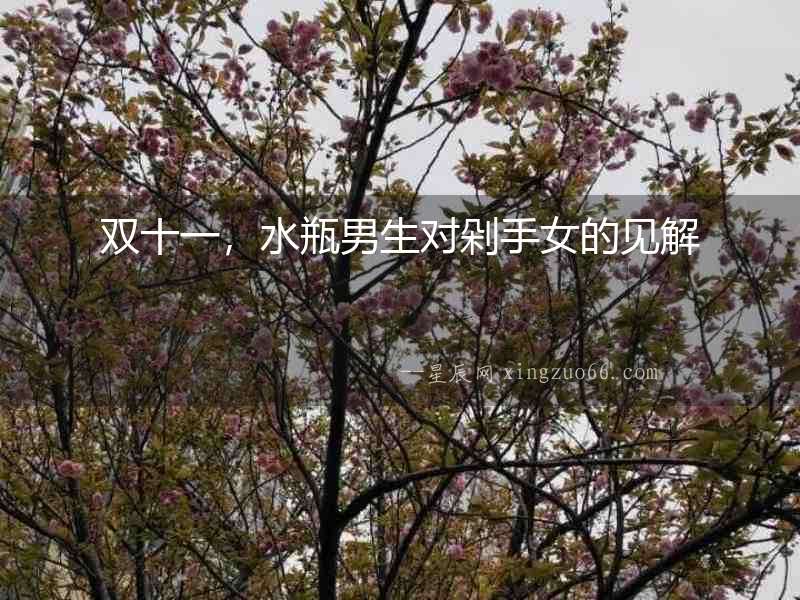 雙十一，水瓶男生對剁手女的見解