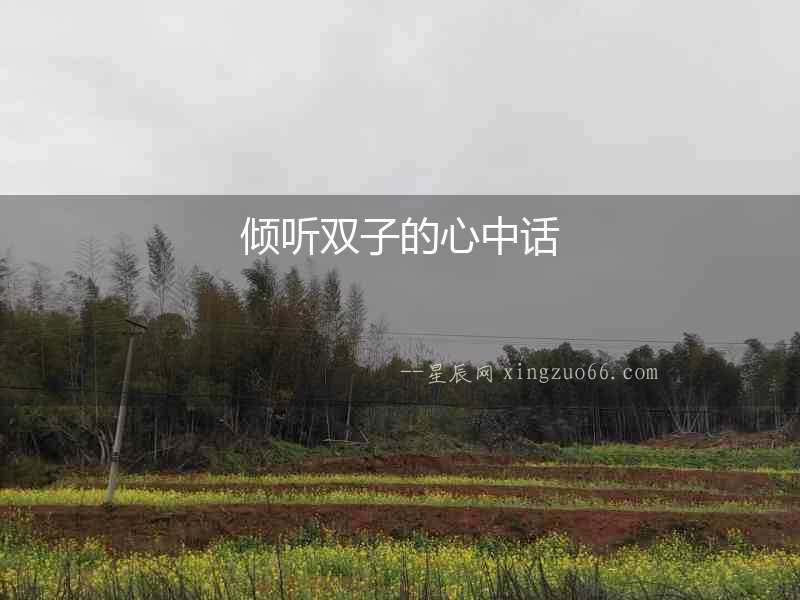 傾聽雙子的心中話