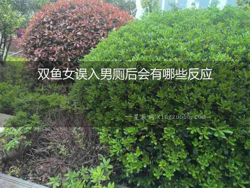雙魚女誤入男廁后會有哪些反應(yīng)