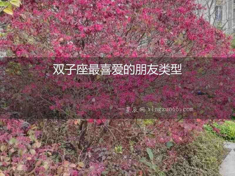 雙子座最喜愛的朋友類型