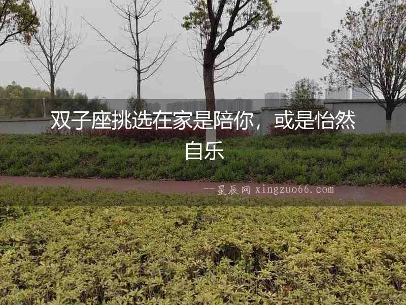 雙子座挑選在家是陪你，或是怡然自樂(lè)