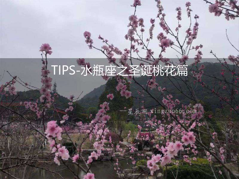 TIPS-水瓶座之圣誕桃花篇