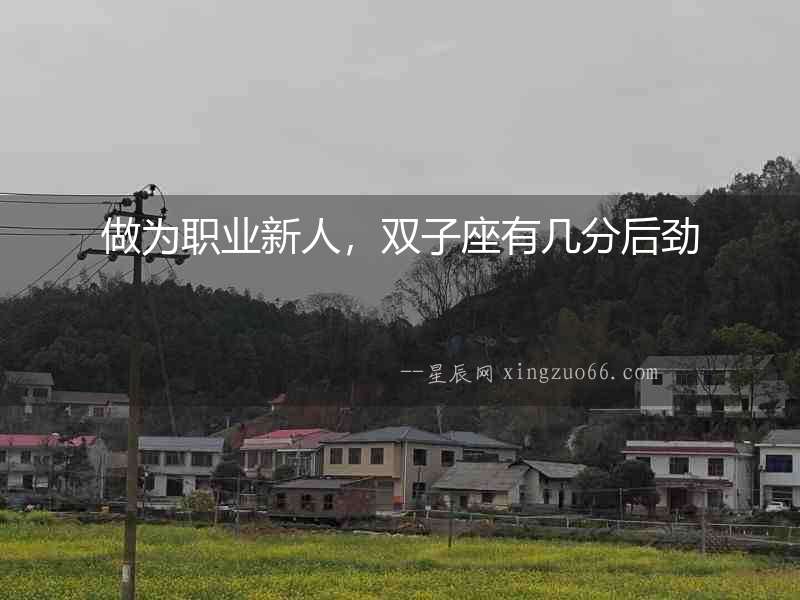 做為職業(yè)新人，雙子座有幾分后勁