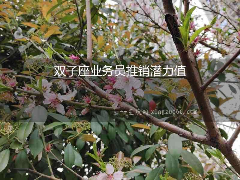 雙子座業務員推銷潛力值