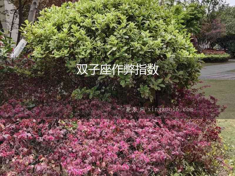 雙子座作弊指數