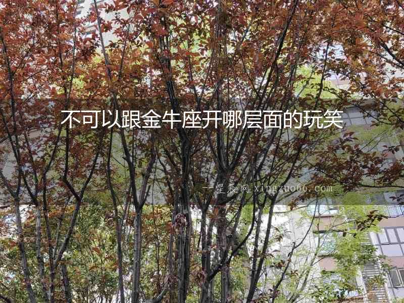 不可以跟金牛座開(kāi)哪層面的玩笑