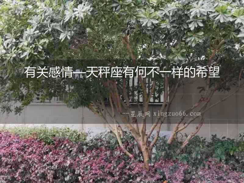 有關感情—天秤座有何不一樣的希望