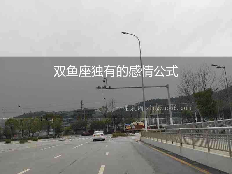 雙魚座獨(dú)有的感情公式