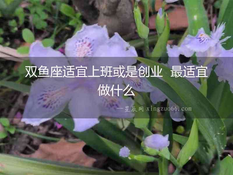 雙魚座適宜上班或是創(chuàng)業(yè)  最適宜做什么