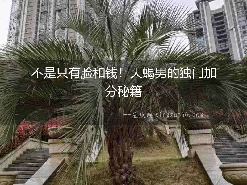 不是只有臉和錢！天蝎男的獨(dú)門加分秘籍