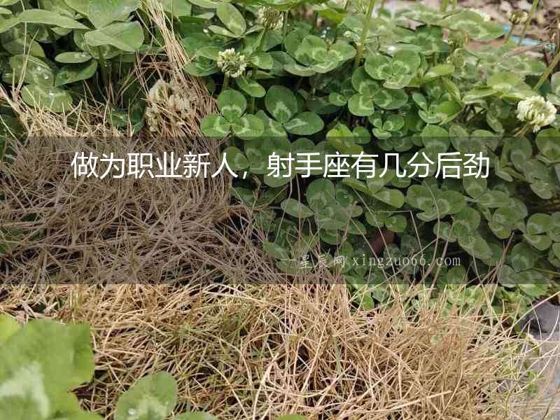 做為職業新人，射手座有幾分后勁