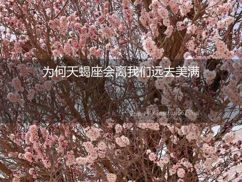 為何天蝎座會離我們遠去美滿