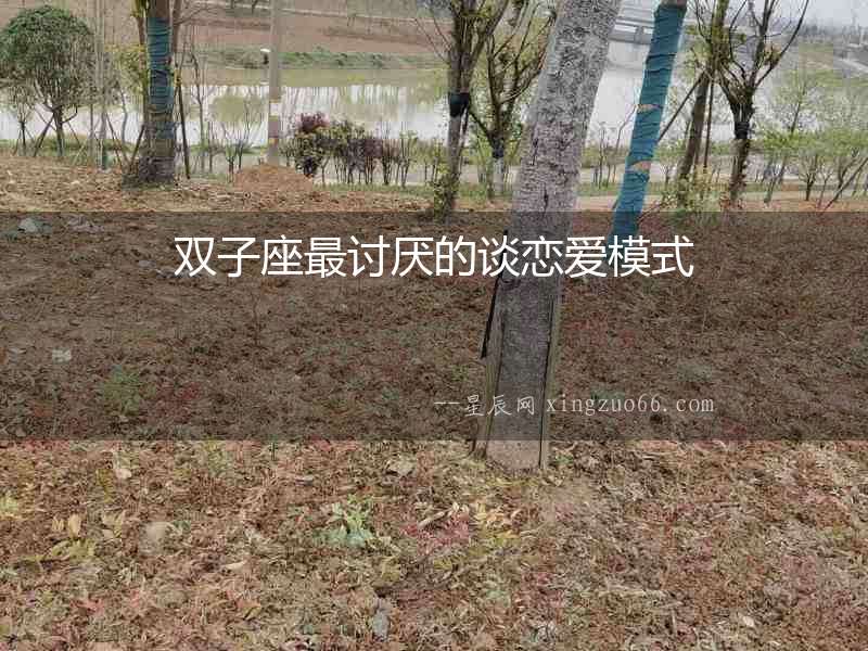 雙子座最討厭的談戀愛模式