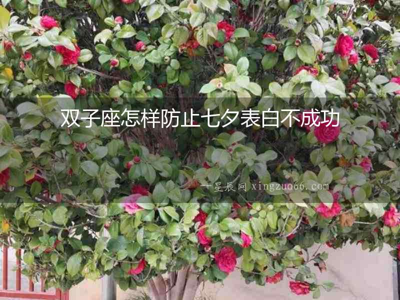 雙子座怎樣防止七夕表白不成功