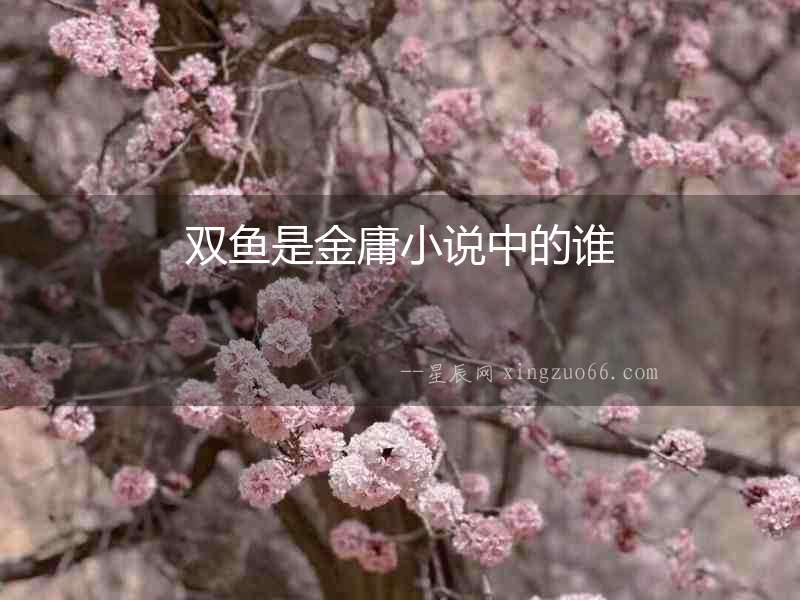 雙魚是金庸小說中的誰