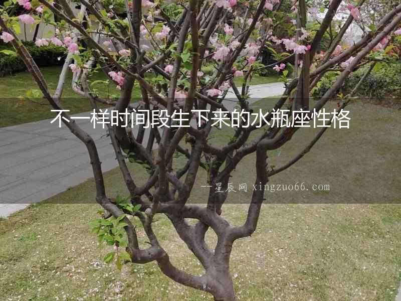 不一樣時間段生下來的水瓶座性格