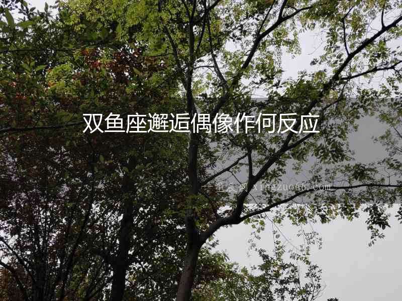 雙魚座邂逅偶像作何反應