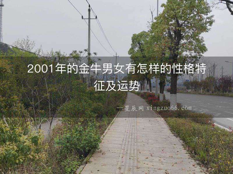 2001年的金牛男女有怎樣的性格特征及運勢