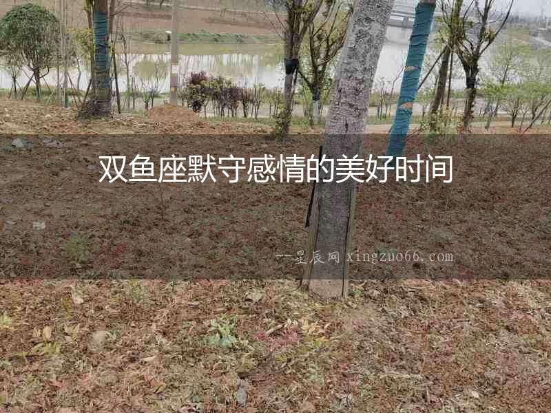 雙魚座默守感情的美好時間