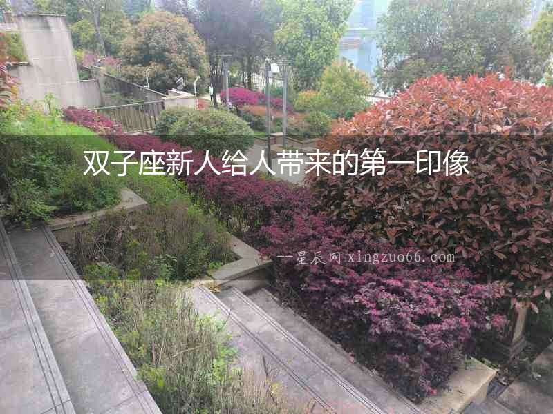 雙子座新人給人帶來的第一印像
