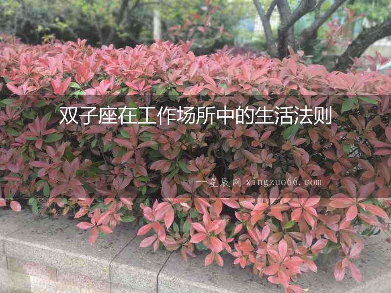 雙子座在工作場所中的生活法則