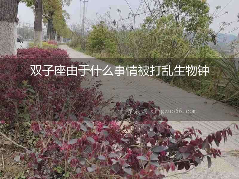 雙子座由于什么事情被打亂生物鐘