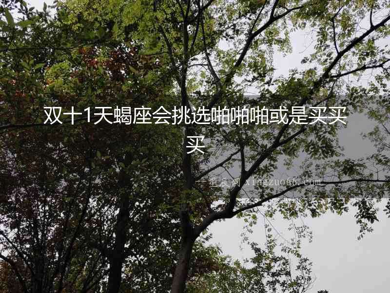 雙十1天蝎座會挑選啪啪啪或是買買買