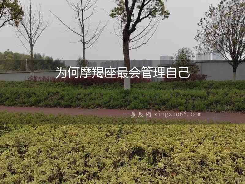 為何摩羯座最會管理自己