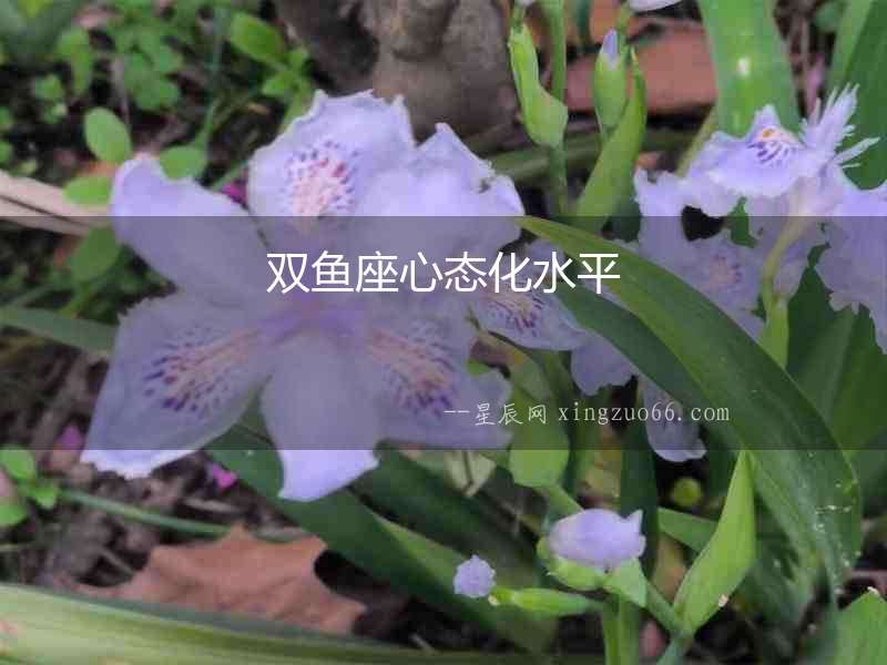 雙魚座心態(tài)化水平
