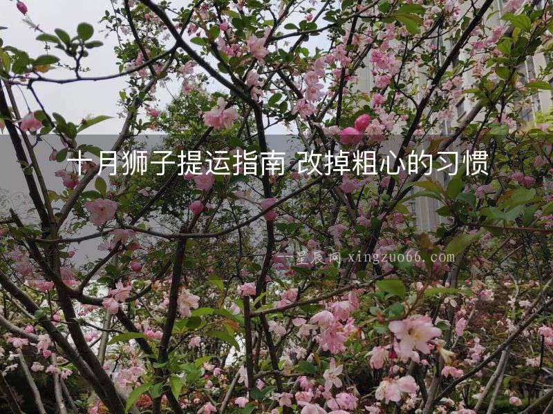 十月獅子提運指南 改掉粗心的習慣