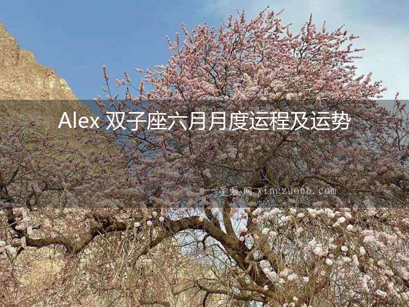 Alex 雙子座六月月度運程及運勢